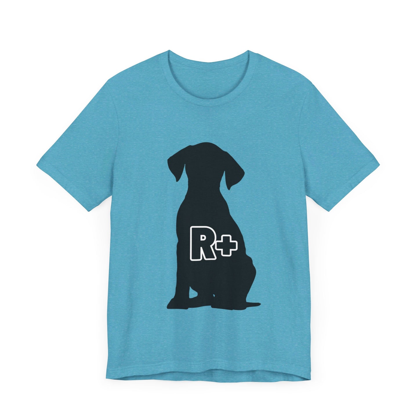 R+ Silhouette Tee